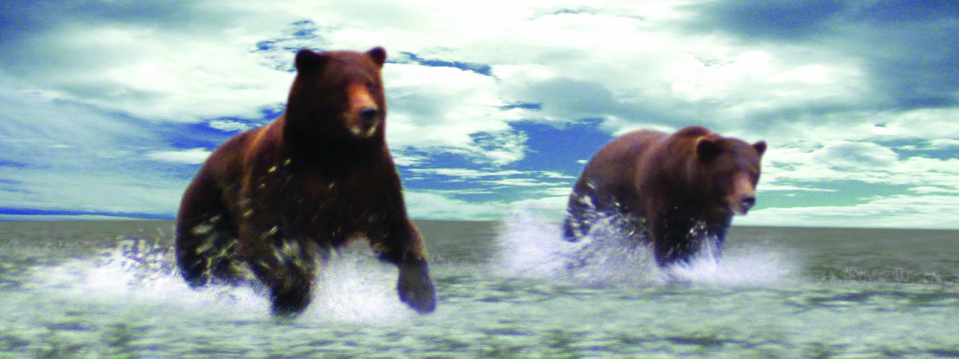 Gift Trenz3-D Motion Dark Bears Bookmark with 6" Ruler