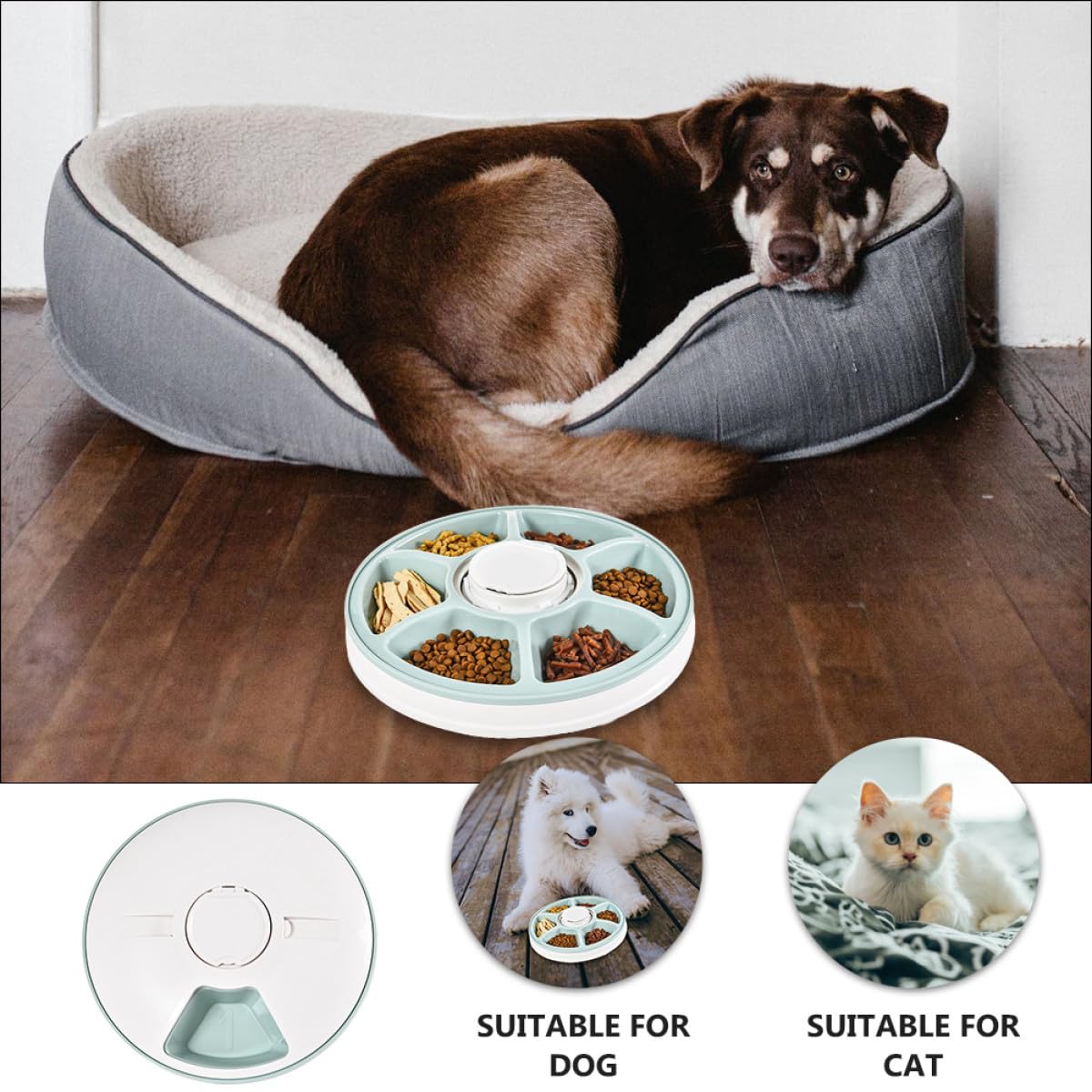 PRETYZOOM Comedero Automático para Perros Temporizador, Tazón para Mascotas de PS y Abs, Fácil de Limpiar Base Antideslizante, Adecuado para Colocar Esquina