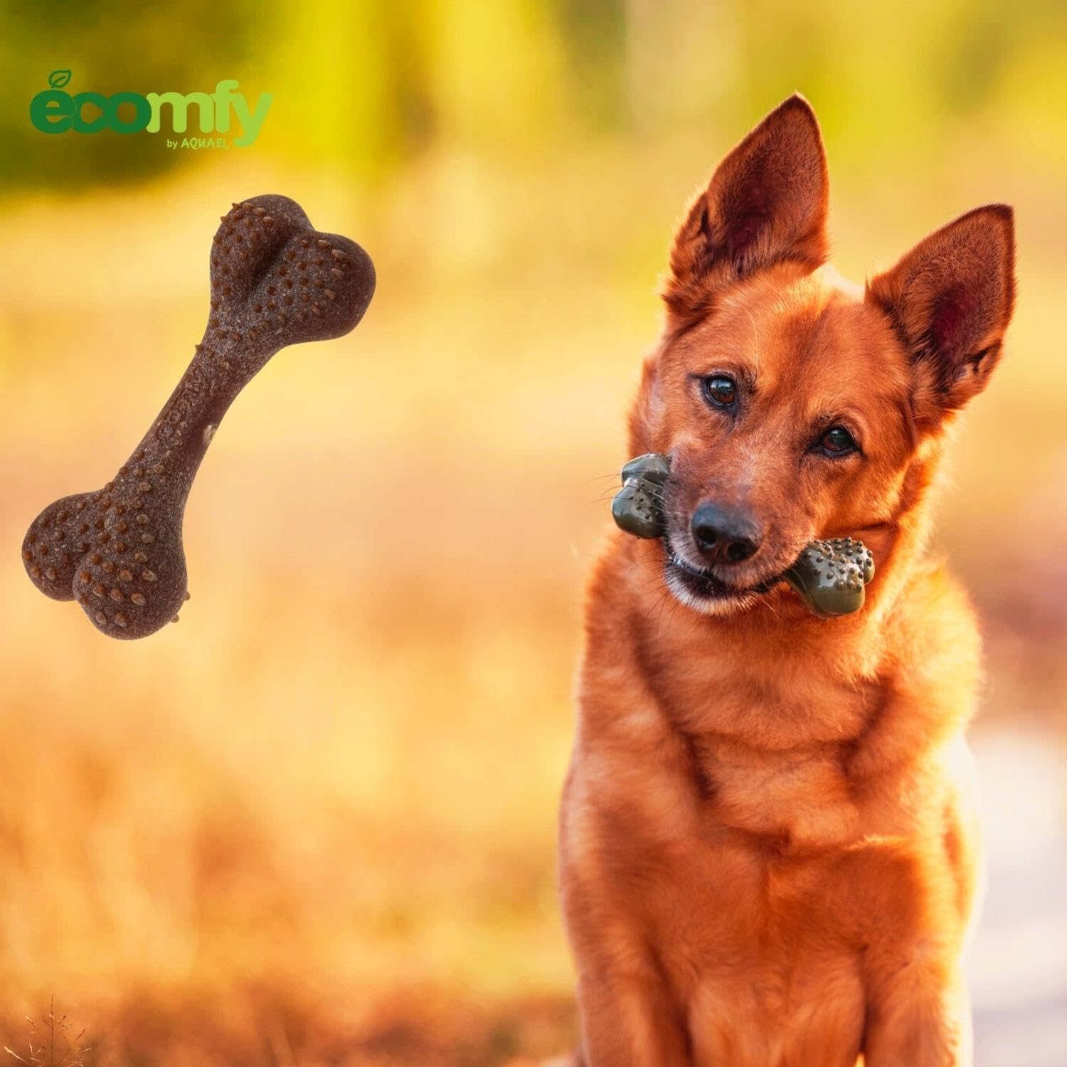 ECOMFY Woody Eco Chew Toys for Dogs, Dental Bone 8.5cm, Eco-Friendly, Long-Lasting, Scented Chew Toy for Aggressive Chewers - Image 3