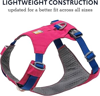 RUFFWEAR Hi & Light Dog Harness Mサイズ Hi & Light™ Lightweight Dog Harness | Ruffwear
