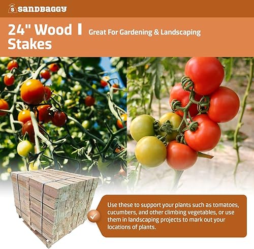 Miniatura 6 de Sandbaggy Estacas de madera de 24 pulgadas - Estacas resistentes para construcción, jardinería, topografía - Punta de cincel, madera de abeto