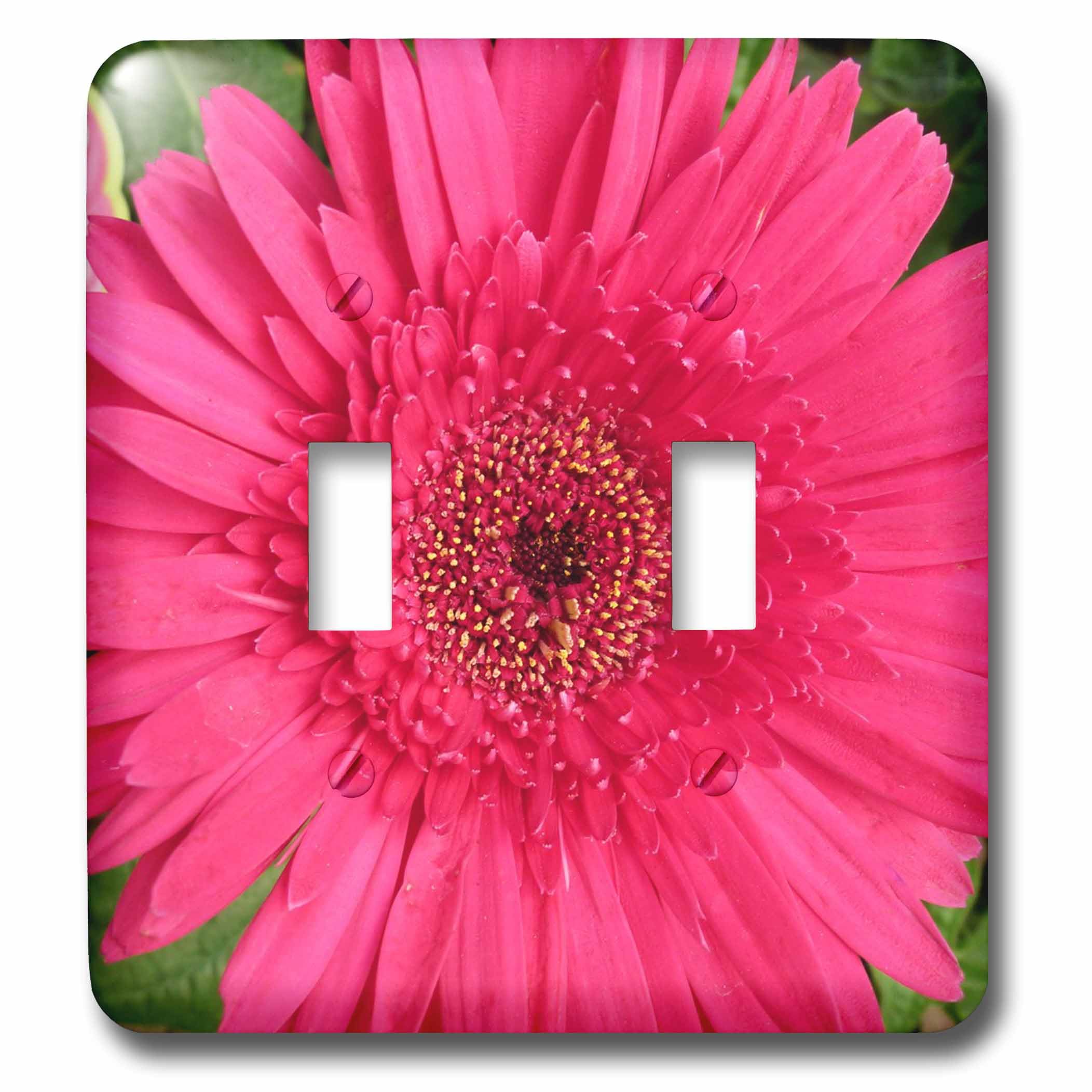 Interrupteur double bascule 3dRose lsp_22170_2 motif fleur gerbera rose