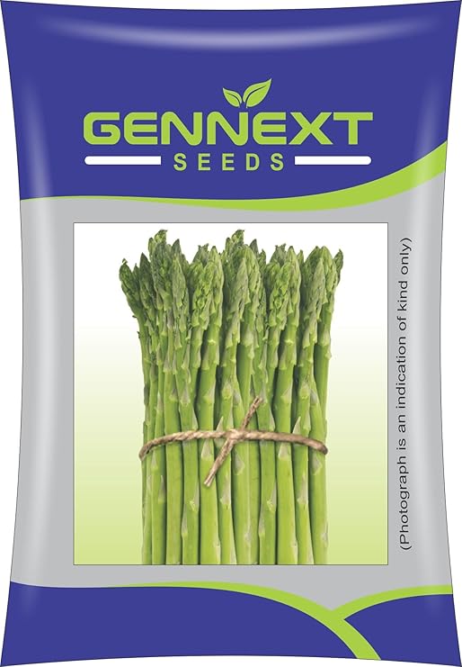 GENNEXT SEEDS Asparagus Green Arrow Seeds Pack of 2 Amazon.in