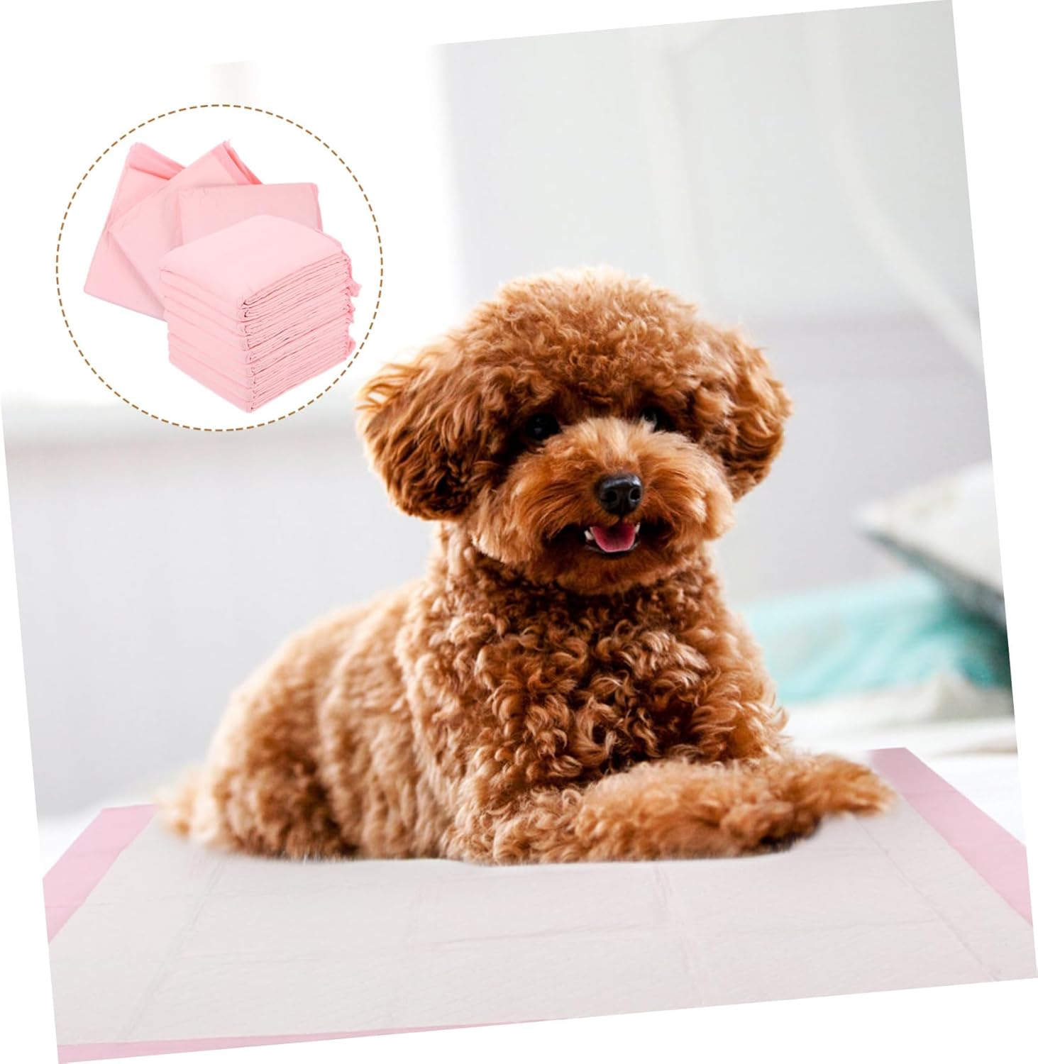 1 Pack Thickened Pet Training Pads Absorbent Dog Diapers for Indoor Outdoor Use for Puppy Training Aging Dogs and Travel