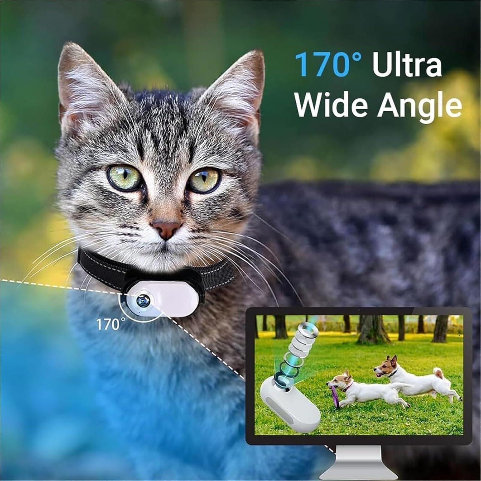Cat Cam Pro 2.0 Caméra Portable HD 1080p Étanche pour Animaux de Compagnie avec Enregistrement Vidéo et Suivi pour Chats, Mini Caméra Sport sans Fil (Noir, 64 Go)