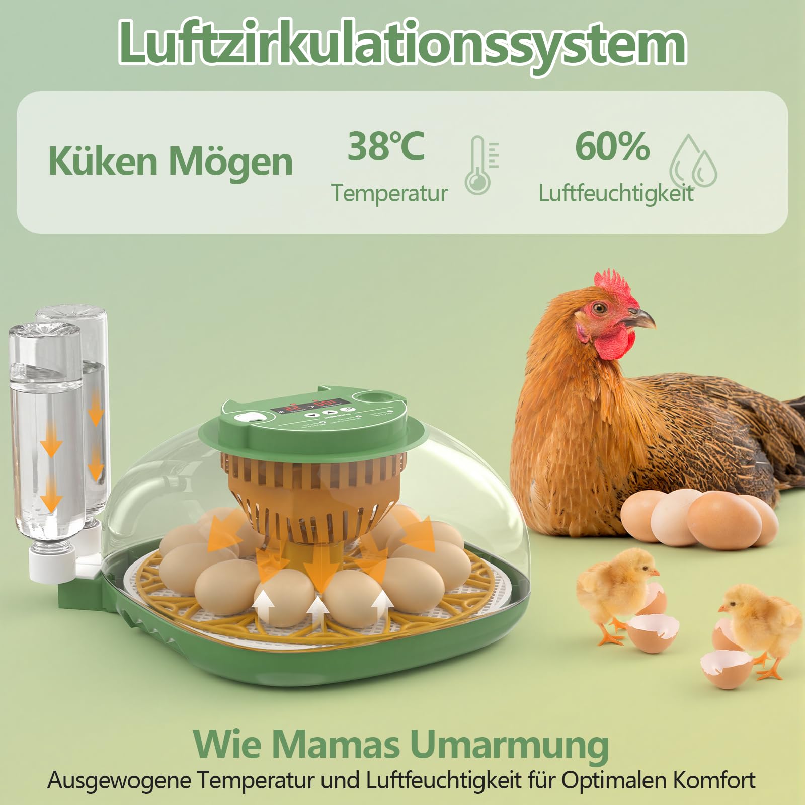 Brutautomat Vollautomatisch, Diealles Shine Brutmaschine Vollautomatisch für 12 Eier mit Automatischem Wenden der Eier und Automatischer Befeuchtung, Temperaturregelung Inkubatoren für Geflügeleier