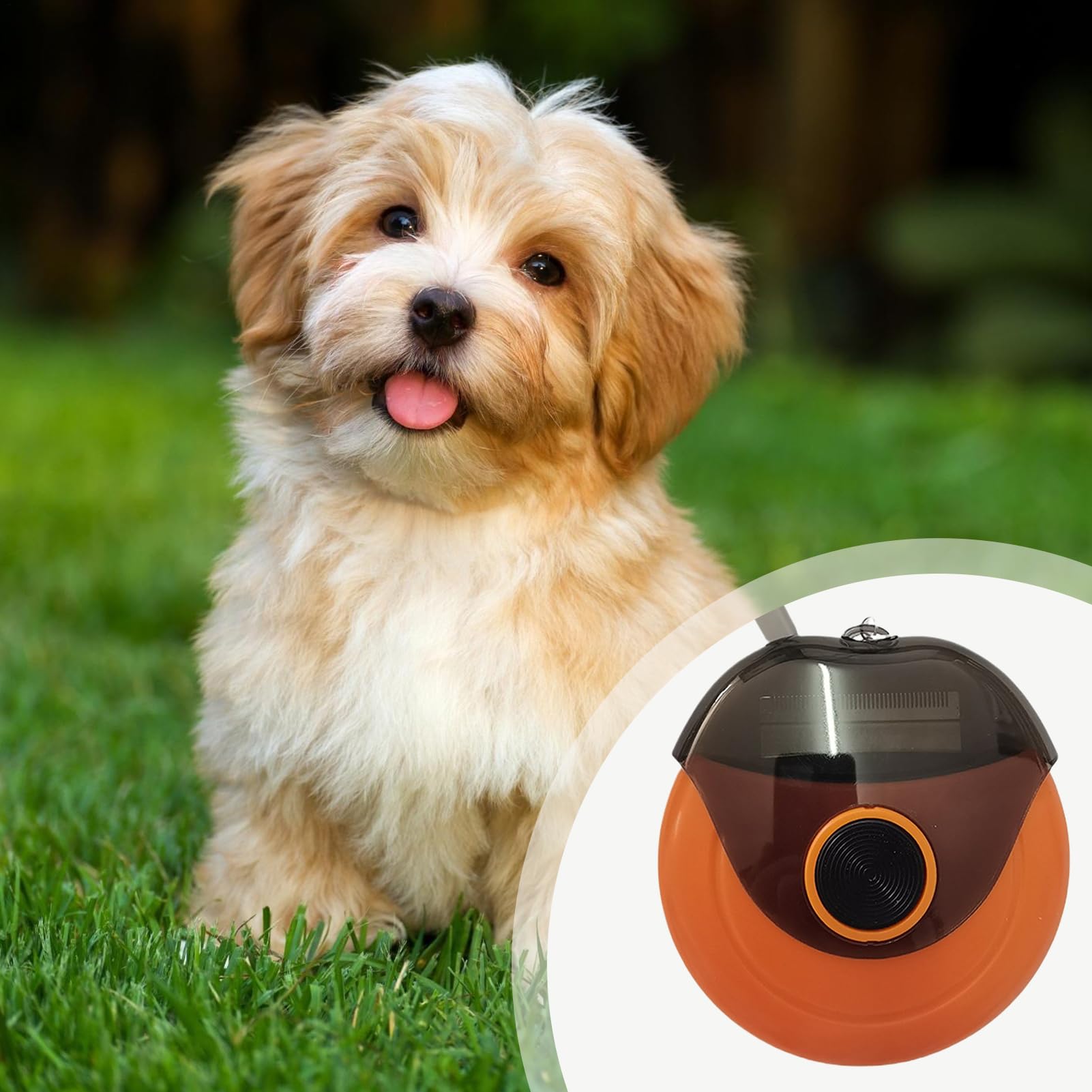 Slicker-Bürste für Katzen Fellpflege Massage Tragbar Für Haustiere | Welpenhaarbürste Entfilzung Hundebesitzer, Tierpfleger, Kätzchen, Klinik, Outdoor, Zuhause, Reise, Park, Garten, Hof