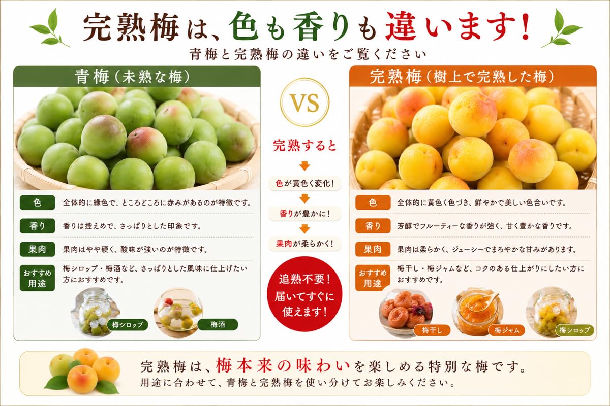 Amazon | [西農園] 和歌山県産 紀州南高梅 青梅 梅干し 梅 5kg L〜4L