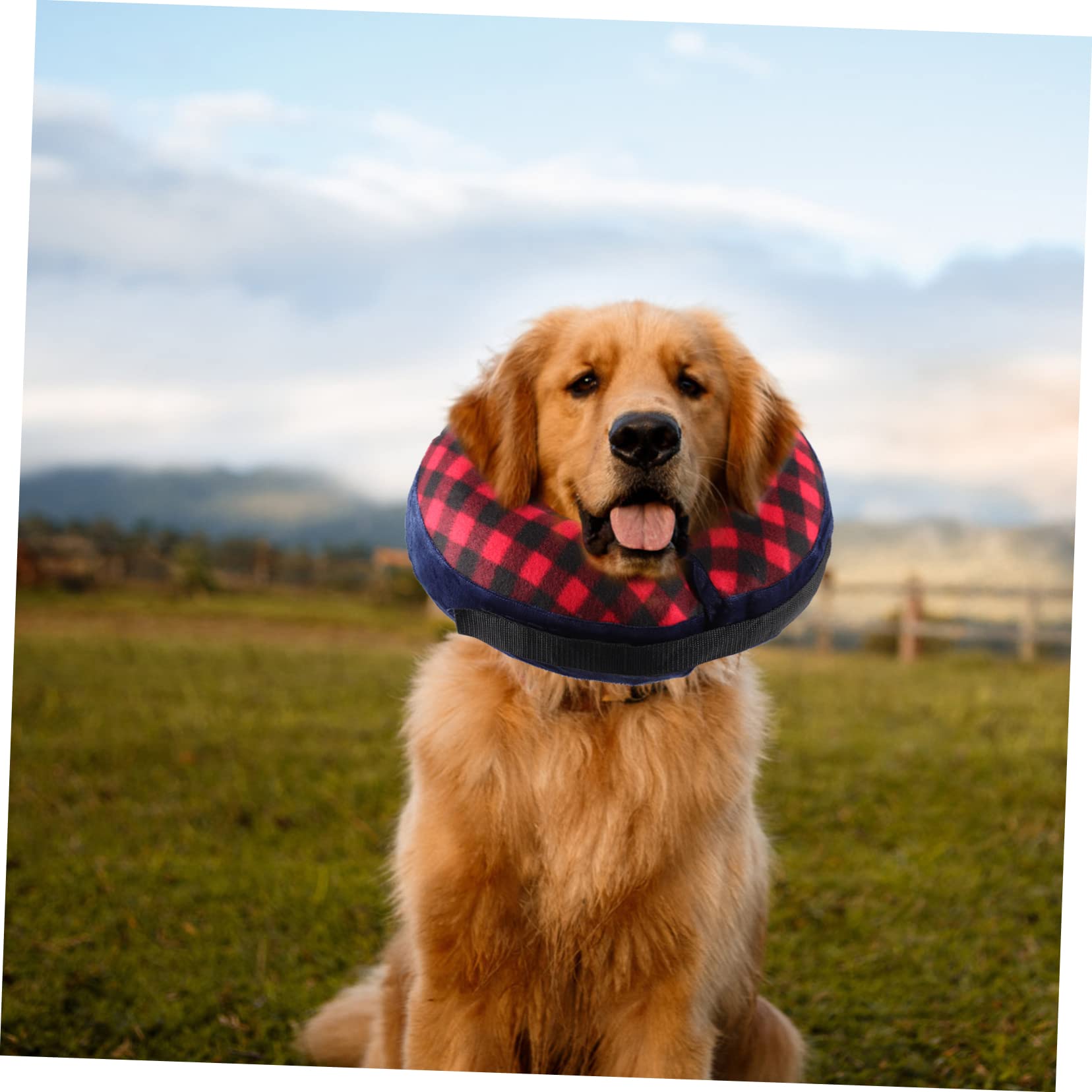 BESPORTBLE 4piezas Collar Inflable para De Mascotas Acolchado y Protección Postoperatoria para Perros y Gatos Alternativa Cómoda Al Collar De Cono Previene Mordeduras y Lameduras