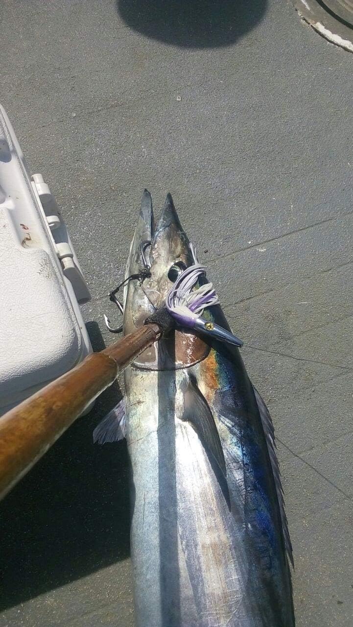 High Speed Wahoo Lures 2 Pack Fully Rigged 6 Ft 280 LBS SS Leader + Bag