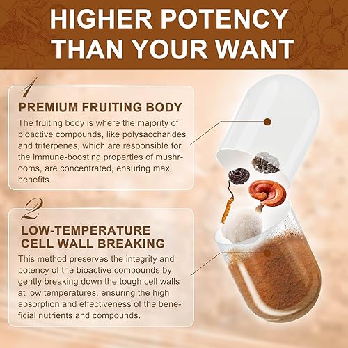 Miniatura 6 de NATURE TARGET Suplemento de hongos, complejo de hongos con melena de león, cola de pavo, reishi, cordyceps, shiitake, hongos 14 en 1 para memoria y