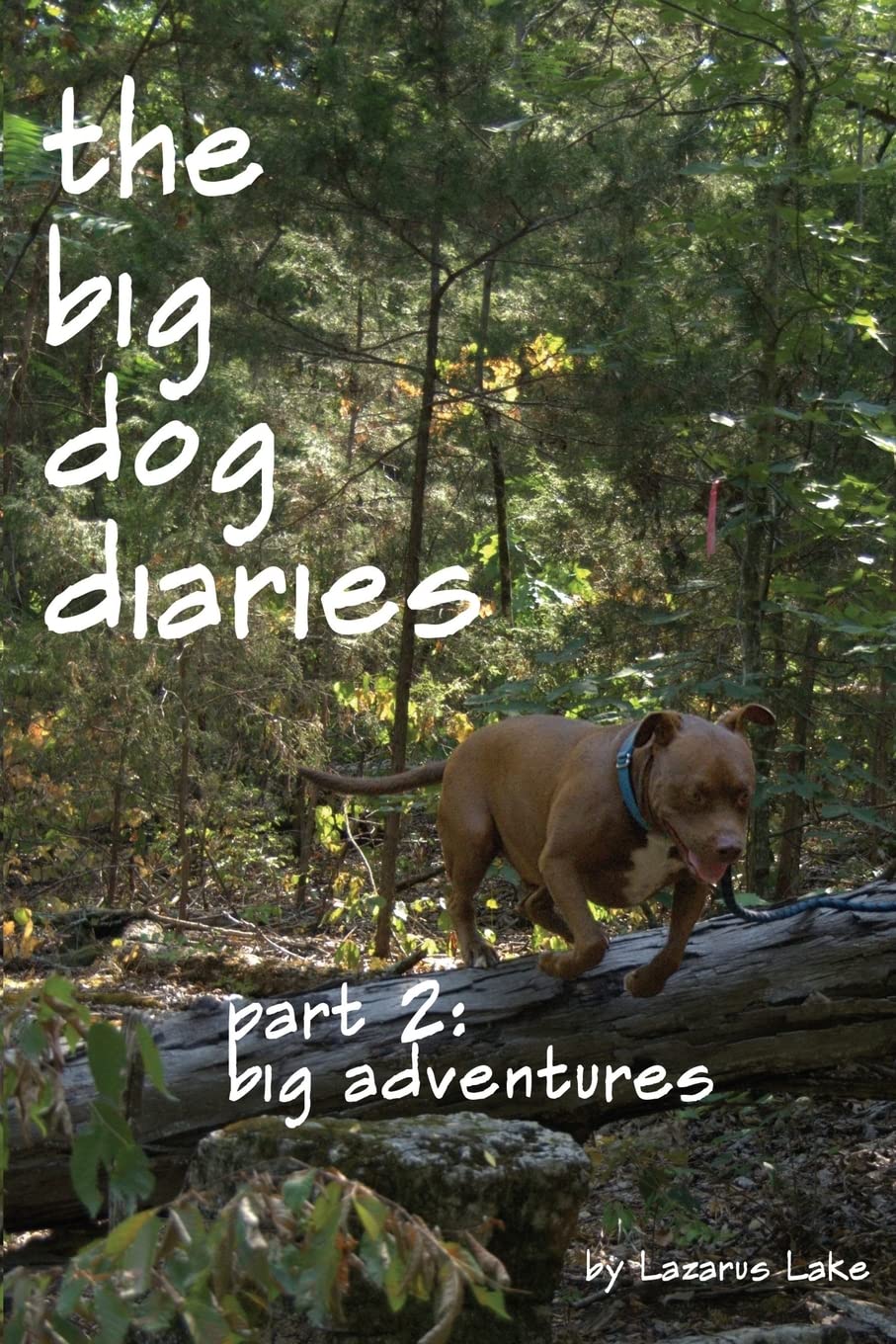Big Adventures: The Big Dog Diaries: Volume 2