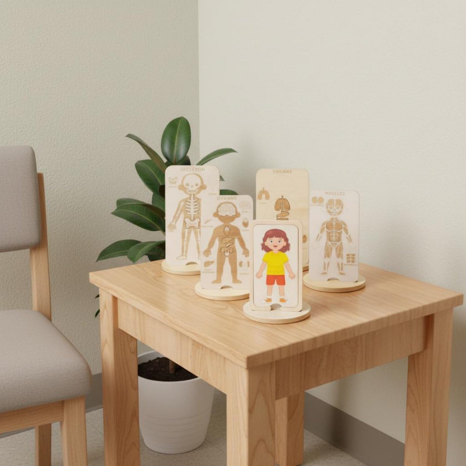 Puzzle Corpo Umano per Bambini in Legno con Strati di Muscoli Pelle Organi Scheletro per Sviluppo Motorio Adatto a Prescolari E, Bambina