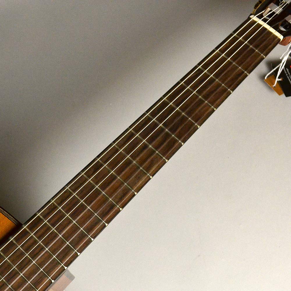 Amazon.co.jp: Martinez MP-14 MH-Artist : Musical Instruments