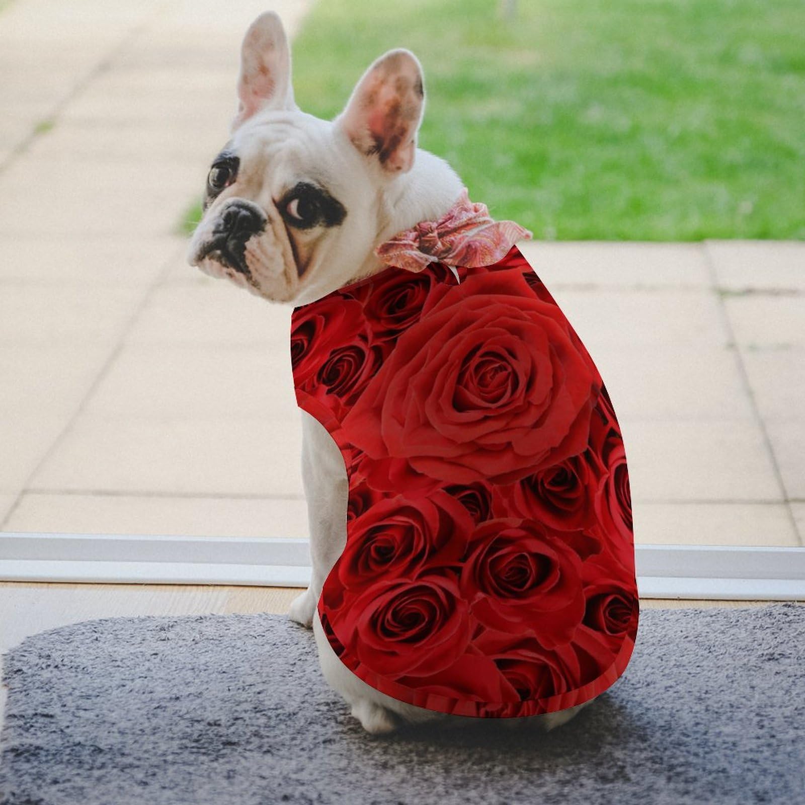 赤い花の犬の服