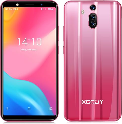 Xgody Dual SIM Smartphone sbloccati Android 8 1 6 0 pollici memoria versione internazionale dei telefoni cellulari sbloccati abilita l uso globale rosa Xgody Dual SIM Smartphone sbloccati Android 8 1 6 0 pollici memoria versione internazionale dei telefoni cellulari sbloccati abilita l uso globale rosa
