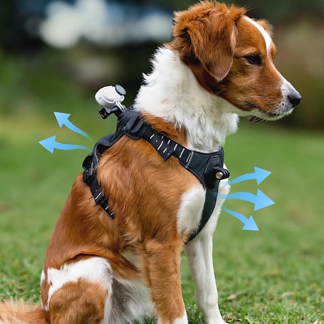 Foto 6 de 6 de Insta360 GO 3/GO 3S - Soporte de arnés para mascotas, talla S (GO Ultra)