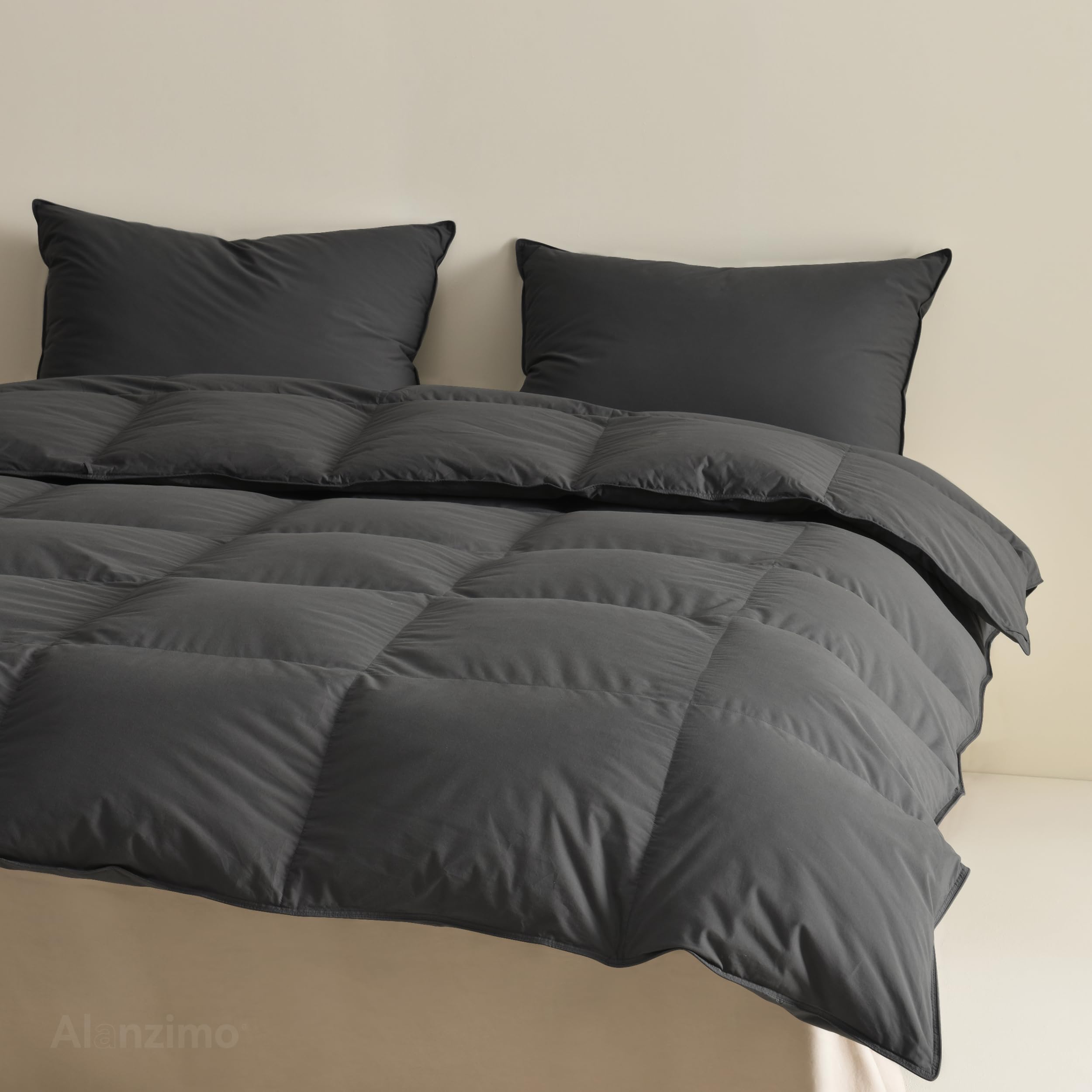 Alanzimo Premium Queen Size Goose Down Comforter All Season - Luxury Soft Noiseless Cotton-Poly Cover Bedding Duvet Insert with 8 Tabs,High Fill Power Down Feather Comforter 90x90 inches