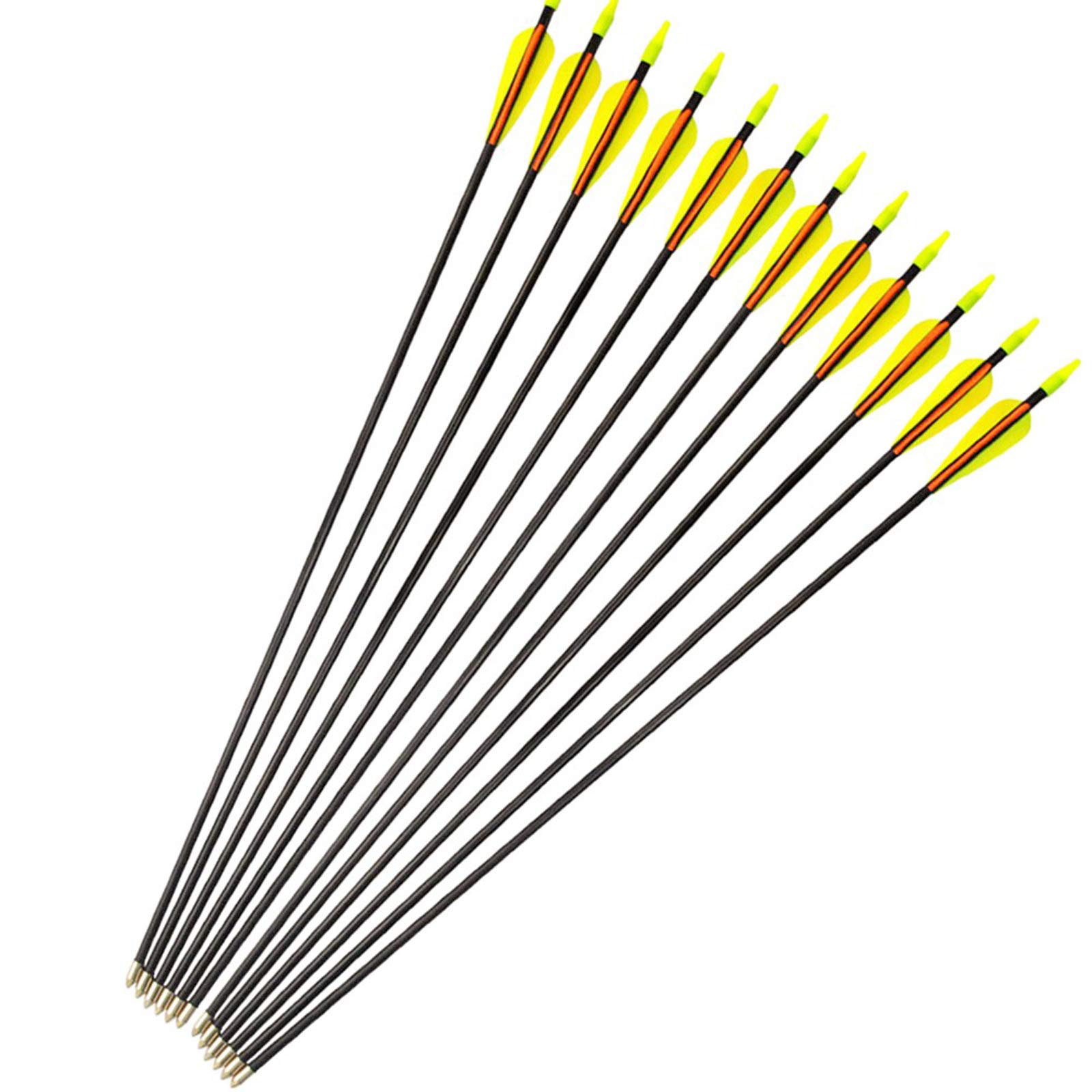 12er Fiberglaspfeil für Bogenschießen, 26 28 30 32 Zoll Bogenpfeile Pfeile Fiberglaspfeil für Sportbogen, Recurvebogen, Langbogen