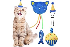 BINGPET Catnip Cake Plush Cat Toys for Indoor Cats' Birthday Party