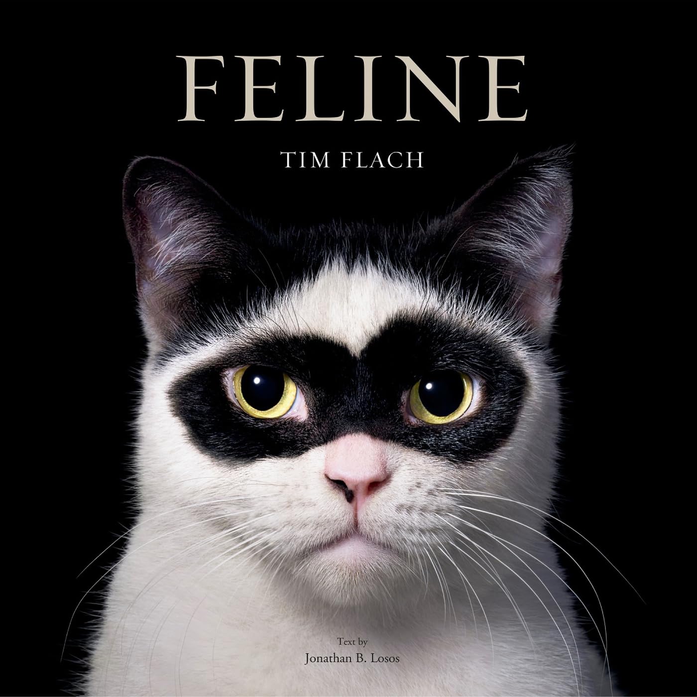 Feline: Photographs: Flach, Tim, Losos, Jonathan: 9781419773648