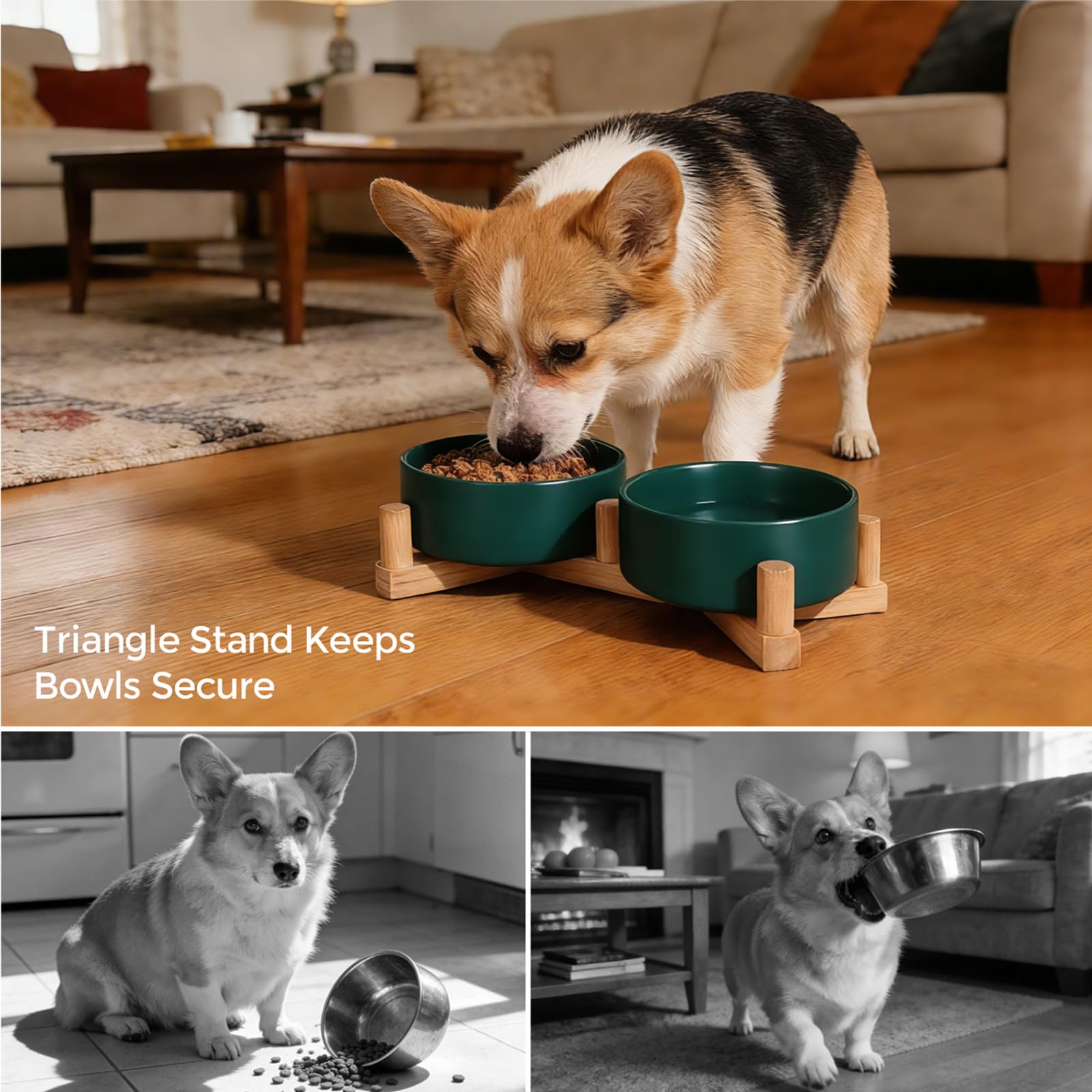 Lot de 2 gamelles en céramique pour chien et chat avec support en bois, bols lestés antidérapants pour nourriture et eau, double mangeoire surélevée pour petits chiens et chats, gamelles en vernis mat