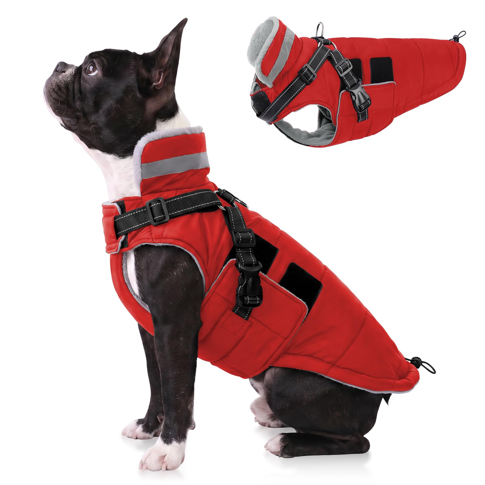 Queenmore Wintermantel Hund Warmer Wasserdichter Hundemantel Dackel Mantel