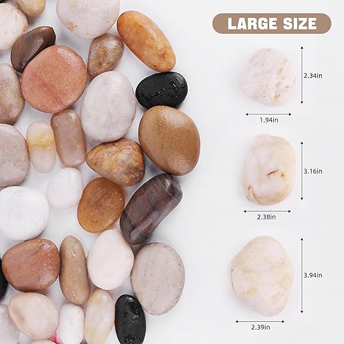 Miniatura 3 de WHANLEY L&Q River Rocks - Piedras decorativas grandes y pulidas ornamentales que cubren plantas rocas (tamaño de las piedras1.5 a 2.5 pulgadas)