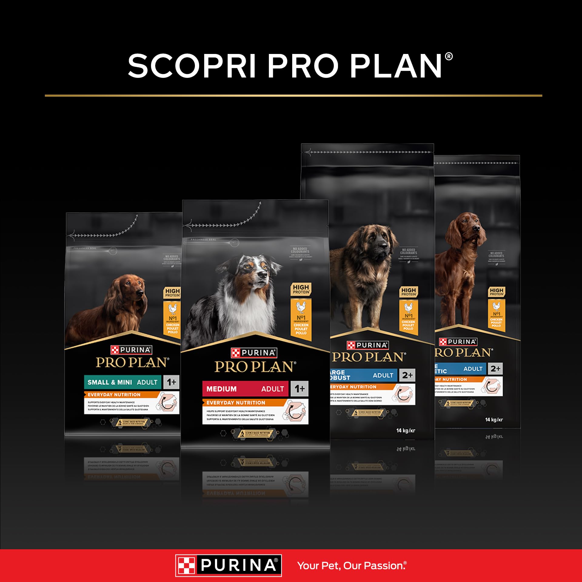 Purina Pro Plan Optibalance Large Robust Adult Crocchette Cane 14kg