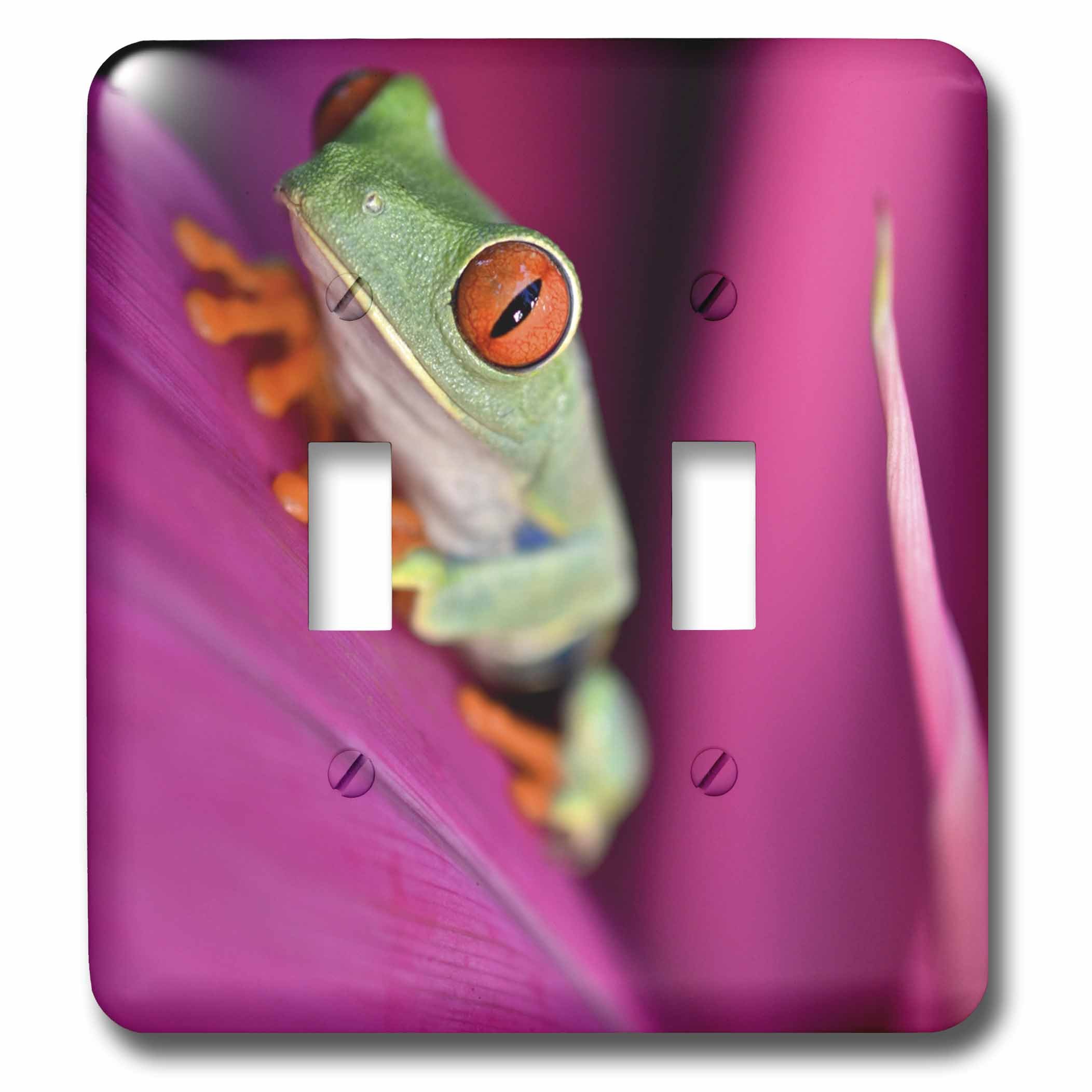 Interrupteur à bascule pour remplacer une plaque blanche cassée motif grenouille feuille rose