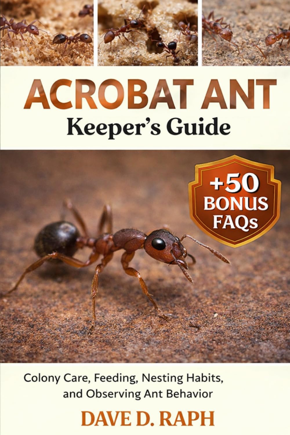 Acrobat Ant Keeper’s Guide: Colony Care, Feeding, Nesting Habits, and Observing Ant Behavior