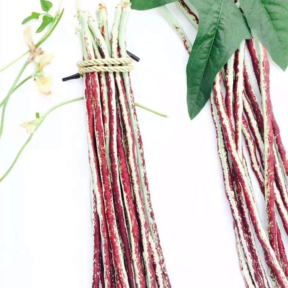 VibeX Color Long Bean Seeds-100 Seeds (B0B9Y4MCGF) Amazon Price History, Amazon Price Tracker