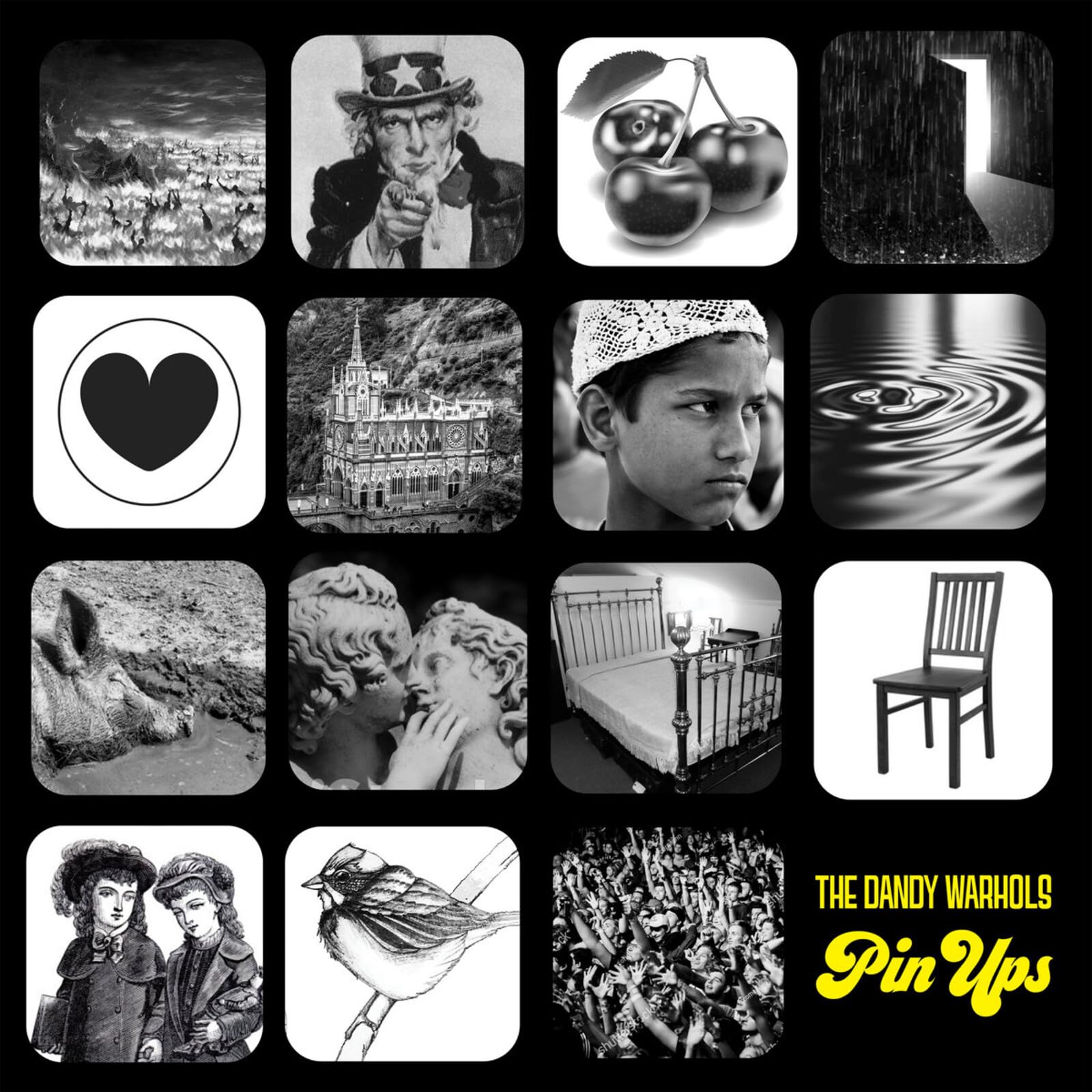 Pin Ups [VINYL]