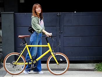 ALTAGE 自転車 ミニベロ 20インチ AMV-001 ブルー 46661 楽天市場】ミニベロ 小径自転車 20インチ【メーカー直営店