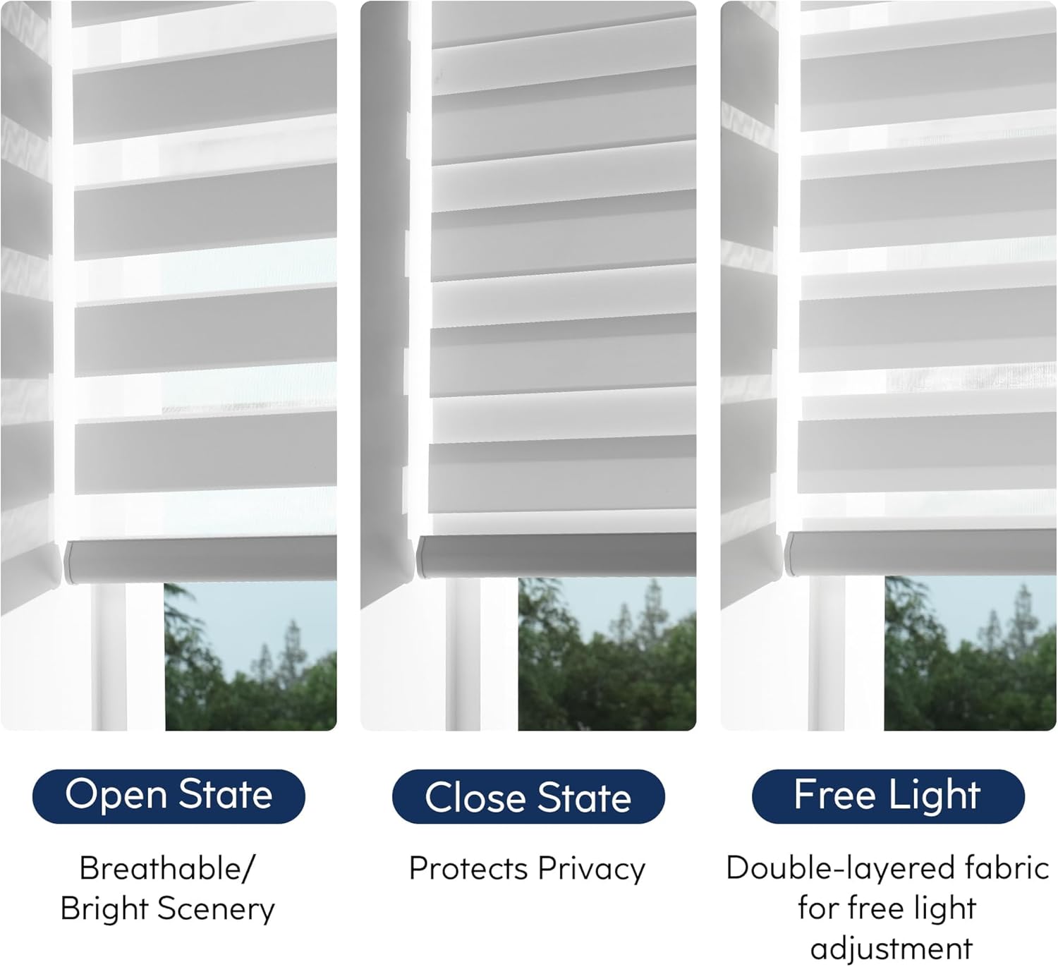 Custom Cordless Zebra Blinds for Windows – Fabric Roller Shades,Sheer Dual Layer Light Filtering Shades for Day and Night Privacy, Free-Stop for Home, Office,Easy to Install
