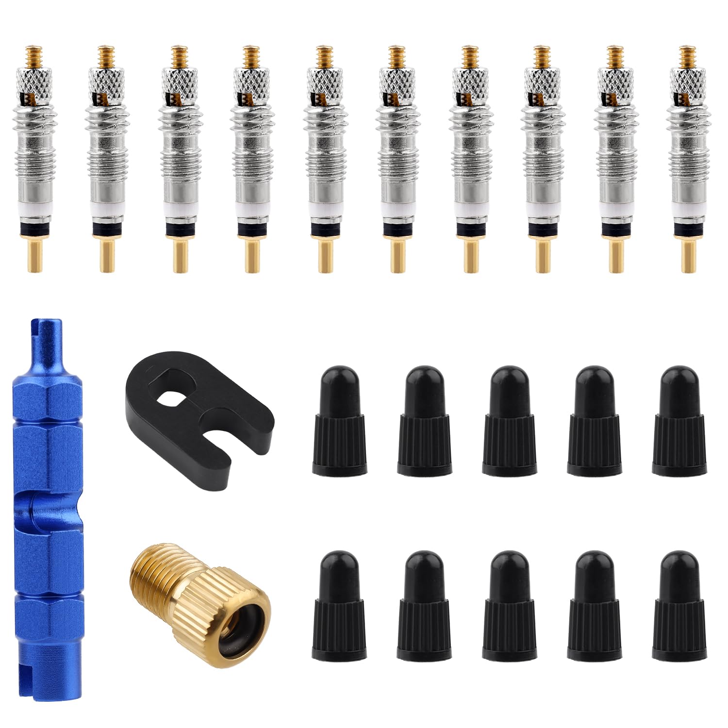 Gosknor Presta Valve Core Repair Kit, Including 10 Valve Core 10 Cover Brass Screws Plastic Buckle & Installation Tools for Tubeless Road MTB Bike Tires