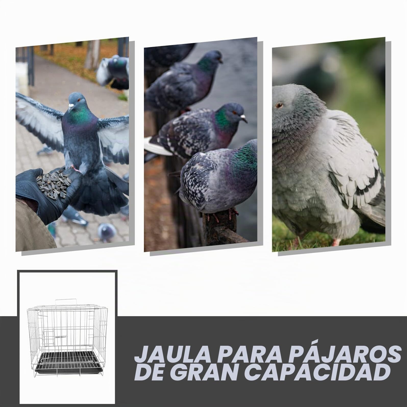 Jaula de Cría para Palomas de Gran Capacidad 35x25x30 Cm, Acero Inoxidable Bandeja Extraíble, Jaula Espaciosa para Pájaros Domésticos y Suministros para Aves