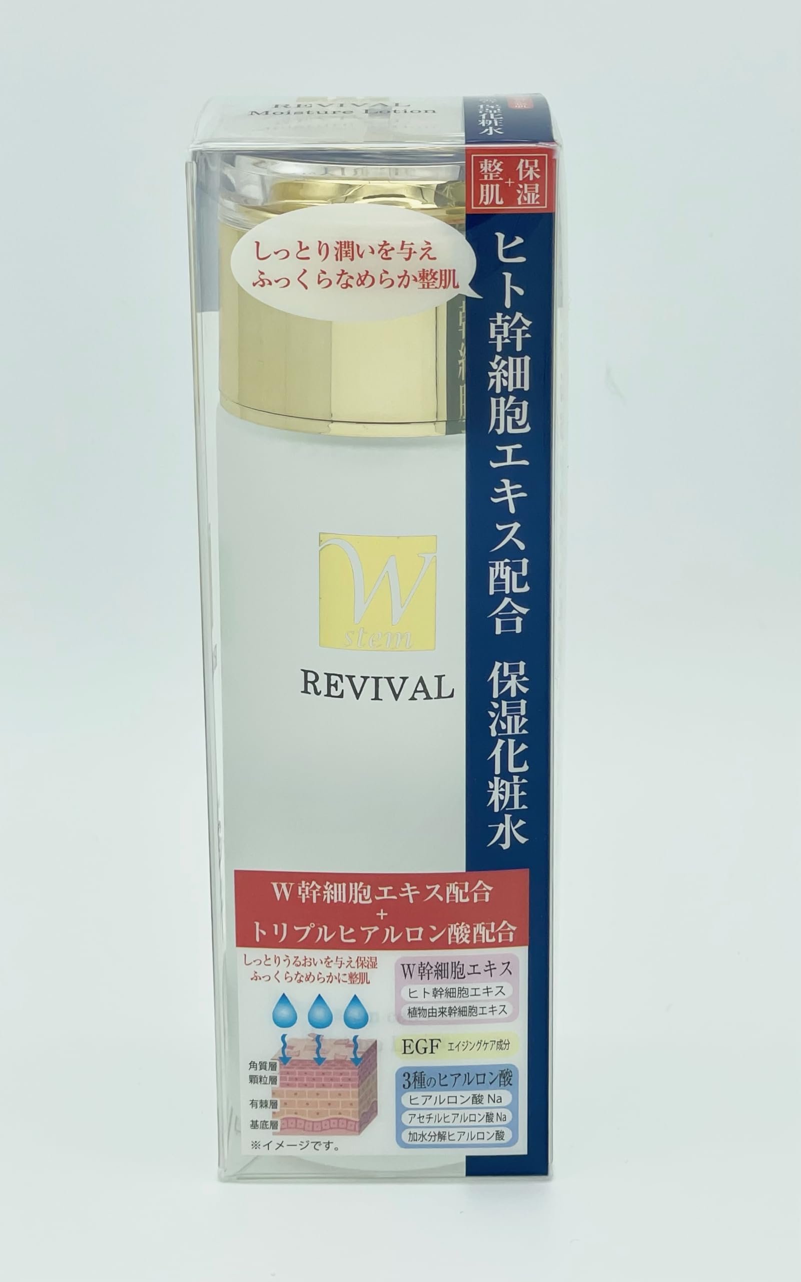 Amazon | W stem(ダブルステム) REVIVAL ヒト幹細胞エキス配合 保湿