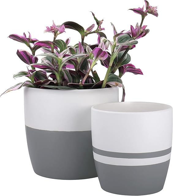LA JOLIE MUSE Ceramic Round Planter Set for Indoor - Modern Minimalist Plant Pot with Matte Finish, Drain Hole Included, Home Decor Gift, White & Classic Gray