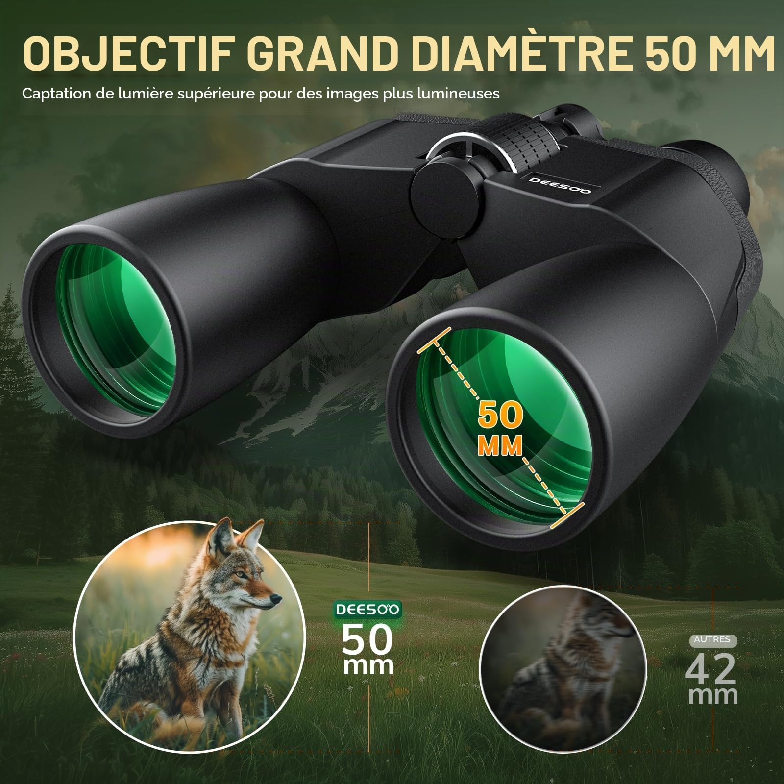 12-36x50 Zoom HD Jumelles Adultes Puissante - Gros Objectif 50mm avec Prismes BAK4 & Lentilles FMC - Vision Claire en Faible Lumière pour Observation des Oiseaux, Chasse, Concerts et Voyage