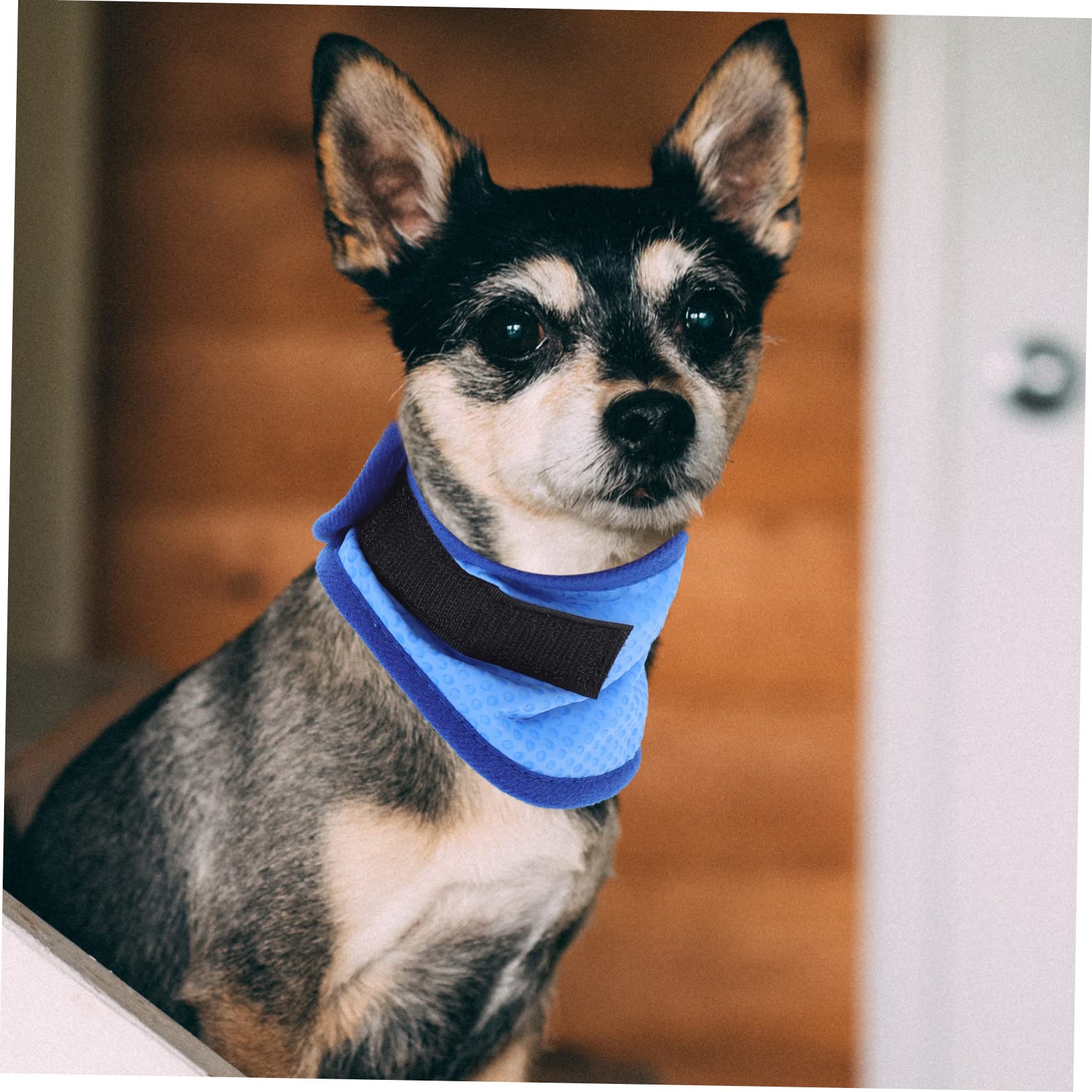 BESPORTBLE 4pezzi Collare Rinfrescante per Cani Bandana Estiva Traspirante per attività all Aperto Perfetta per Passeggiate e Giochi con Tuo Zampe