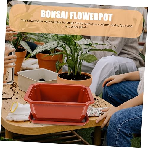 Miniatura 7 de Yardwe 2 macetas con bandejas, flores de jardín para uso para hierbas y plantas, incluye drenaje para ventilación