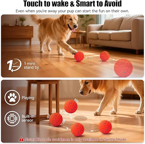 Interactive Dog Toys — close-up of materials and construction quality