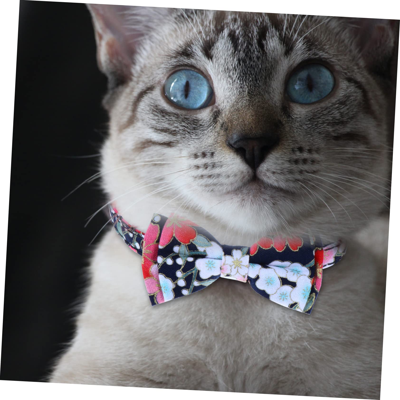 Mipcase 9pièces Collier pour Chat Réglable avec Clochette Et Nœud Fleurs De Parfait pour Animaux De Compagnie Lors des Fêtes Et Événements Spéciaux