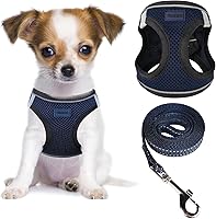 Vista 25 de YIMEIS - Juego de arnés y correa para perro, arnés de malla suave sin tirones, chaleco reflectante ajustable para cachorros, para perros pequeños