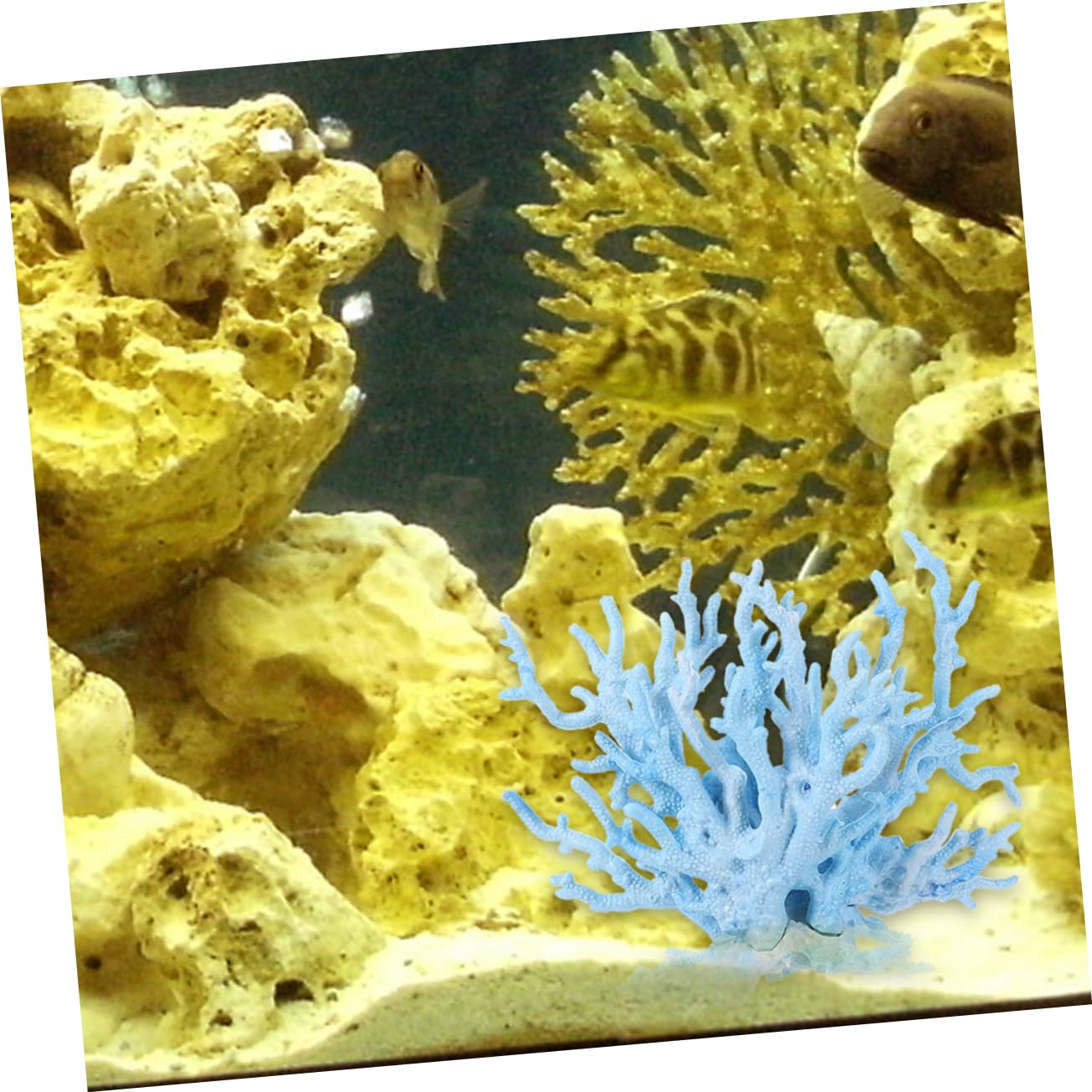 BESPORTBLE Élégant Artificiel pour Aquarium d'eau Douce 4 Pièces Accessoires Décoratifs pour Aquarium