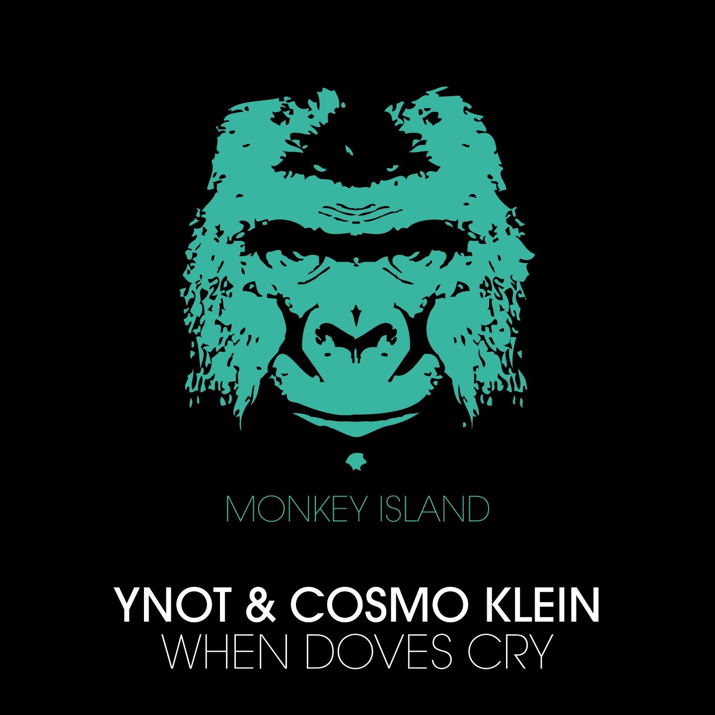 YNOT, Cosmo Klein