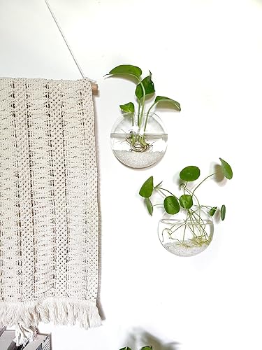 Miniatura 5 de Kingbuy Maceteros de vidrio para colgar en la pared, estación de propagación de globo oblato, jarrones de flores para montar en la pared, perfectos