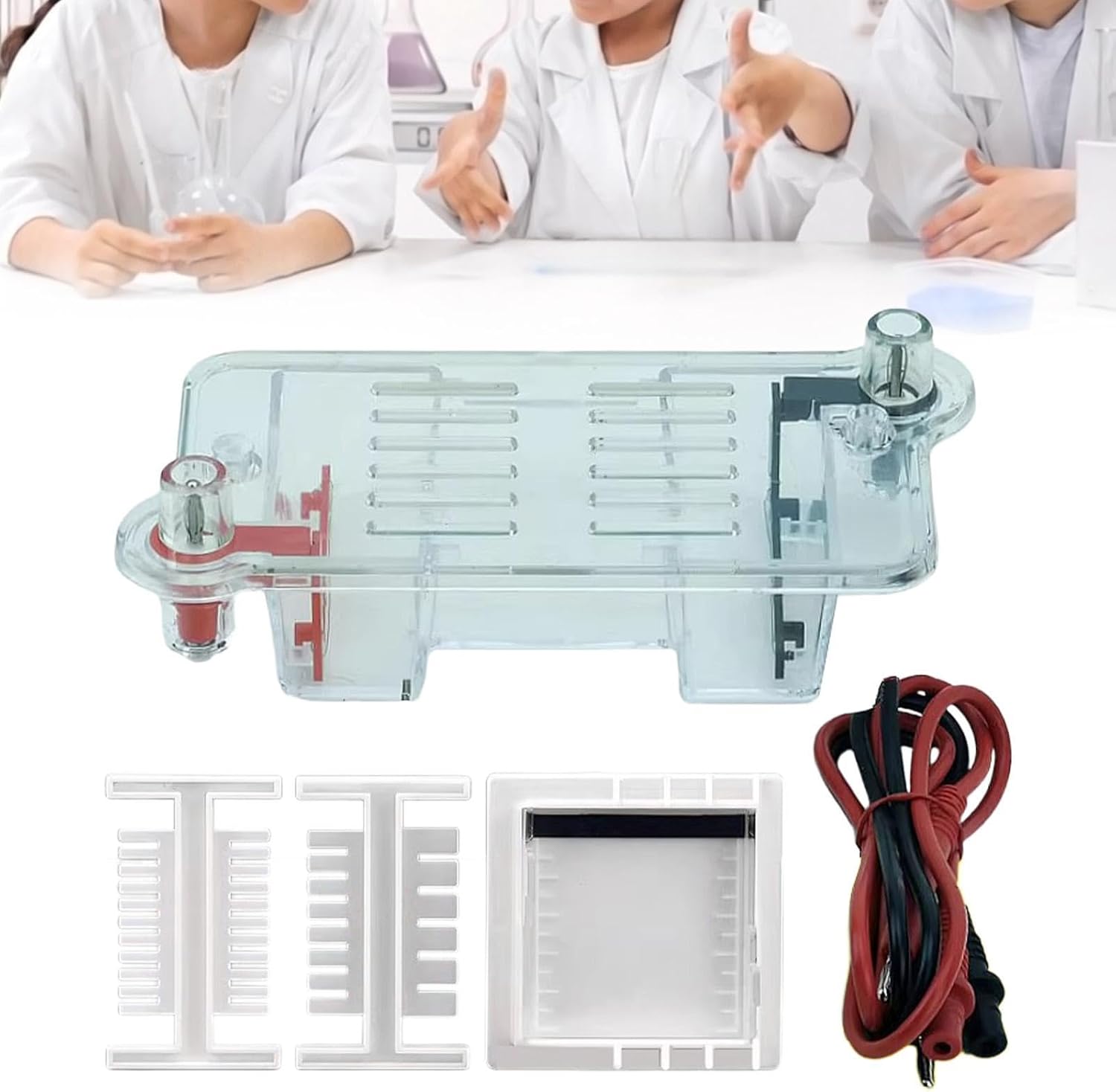 Electrophoresis Apparatus Tank Teaching Equipment,Biology Experimental Equipment Learning for High School
