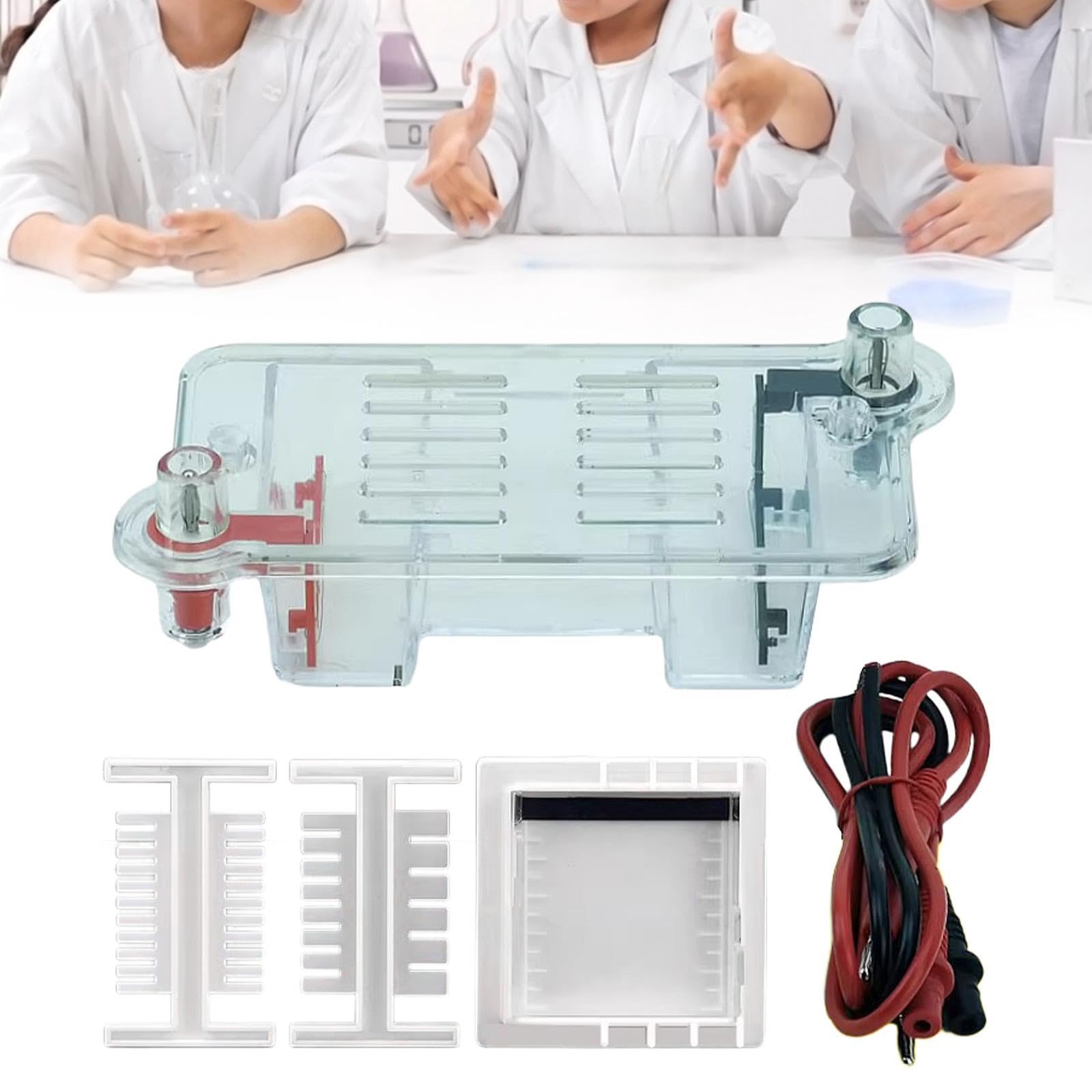 Elektrophorese Apparatur Set mit Gel Tank für Physik Experimente Gel Elektrophorese Rack aus PP Material Lehrmittel für Biologie Unterricht